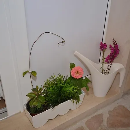 Lägenhet Murva Murvica (Brac)